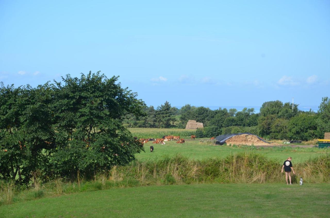 Camping & Feriecenter Samso Kolby Exterior foto